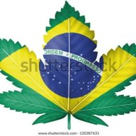 brazilianfarmer
