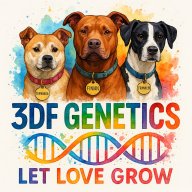 3dogsfamily