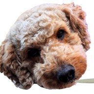 smokydoodle