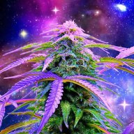 THCosmic