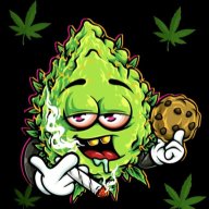 Budmasterflex