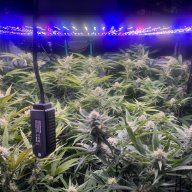 Cottygrower