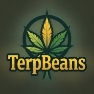 TerpBeans