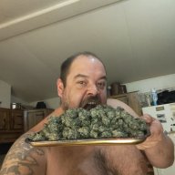 crazy1