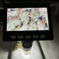 GrowMigo