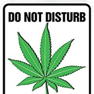 DrGreenthumbVT
