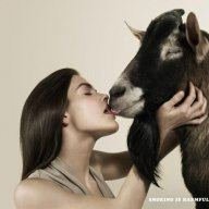 5 Legged Goat