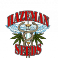 Hazeman
