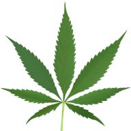 canna2go