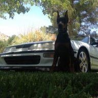 traw88