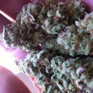 CannaTech