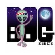BushyOldGrower