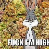 kushwrldwide