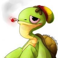 Tortuga