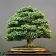 TreeDoc