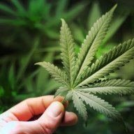 growingweed
