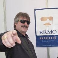 UrbanRemo