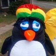 chillywilly