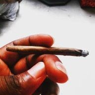 Trippystoner