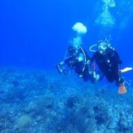Yodax