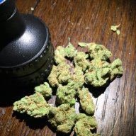 Fatnugz