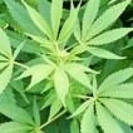SmokeTUFF