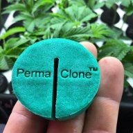 PermaClone