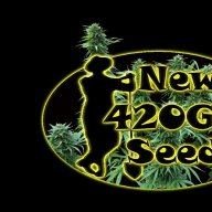 New420Guy