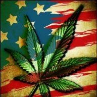 FARMERofBUDS