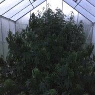 GroWorx