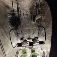 KaptainKush