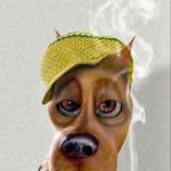 Fuzzdog