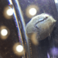 DC1