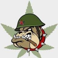iib420