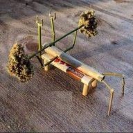 pharmdgrower