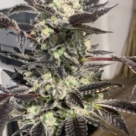 Pheno Farms