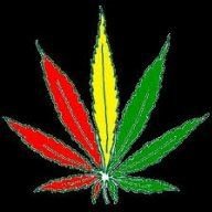 Buddy Haze