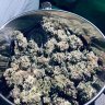 Urkle420