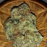 Lvgrows