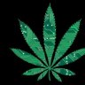 DreamTHC