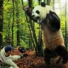 AttackPanda