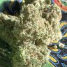 Sticky T