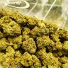 TheGrownMonster