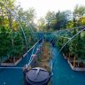 THESTICKYGARDEN