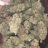 Canadagrower420