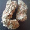 bkskyzoo