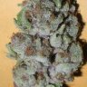 HydroOrganicFla