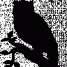 BoBudRoom