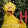 Burdlife