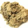 GasNGrapes